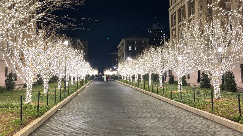 Week 15 + 16: Thanksgiving, Verjaardag &&nbsp;Studeren