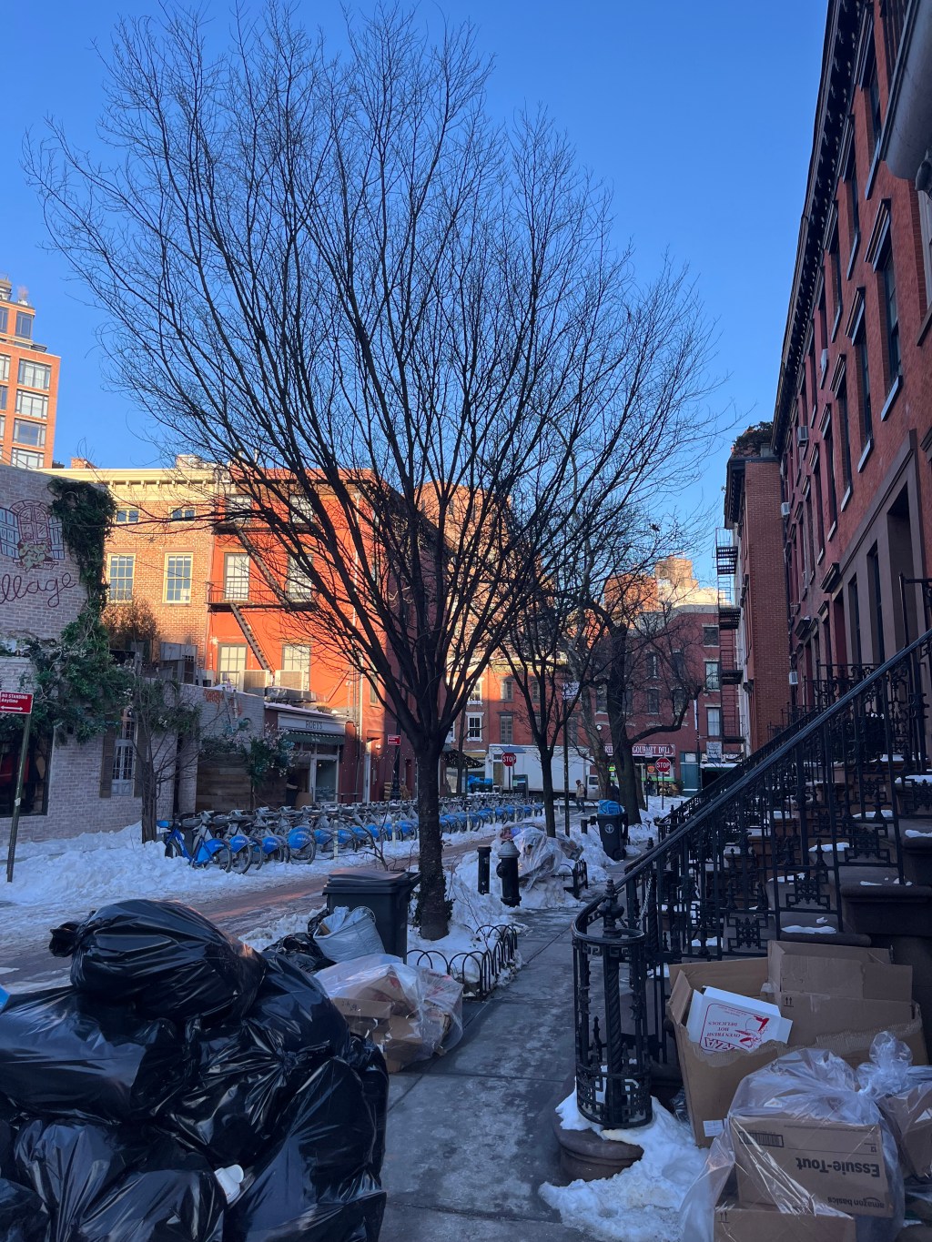 Week 24: Op volle toeren