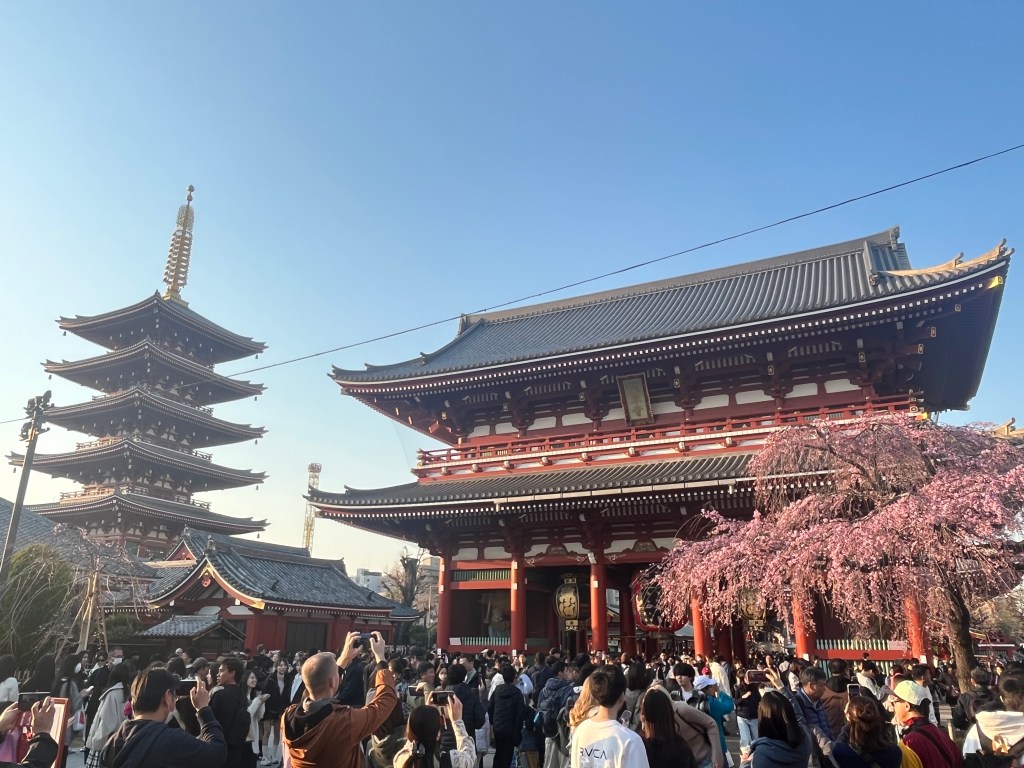 Maart: Japan & Hoog bezoek&nbsp;(pap)